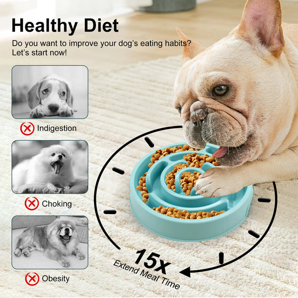 PawPace Slow Feeder Bowl